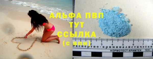 каннабис Белокуриха