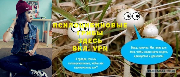 каннабис Белокуриха