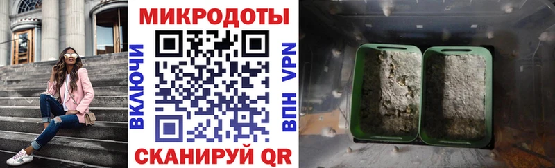 кракен ССЫЛКА Гусев Галлюциногенные грибы Psilocybine cubensis