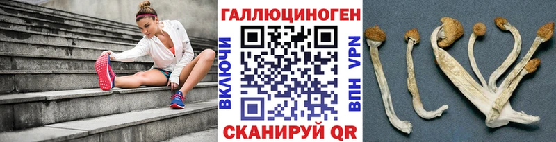 Псилоцибиновые грибы прущие грибы Гусев