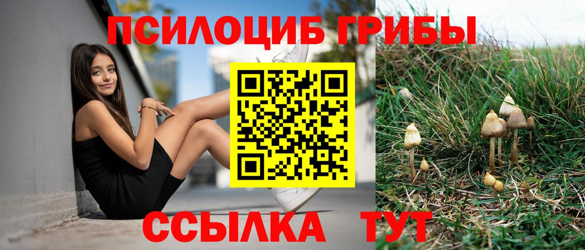 Псилоцибиновые грибы Psilocybe  Вход с VPN  Гусев  Псилоцибиновые грибы MAGIC MUSHROOMS 